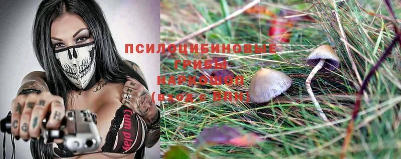 Галлюциногенные грибы Magic Shrooms  Ленинск 